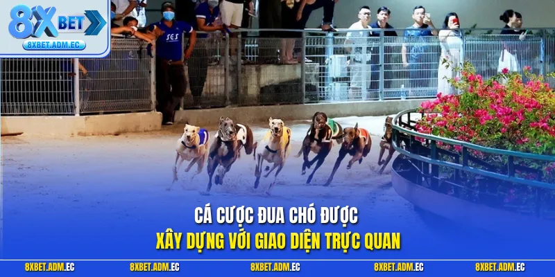 Cá cược đua chó được xây dựng với giao diện trực quan