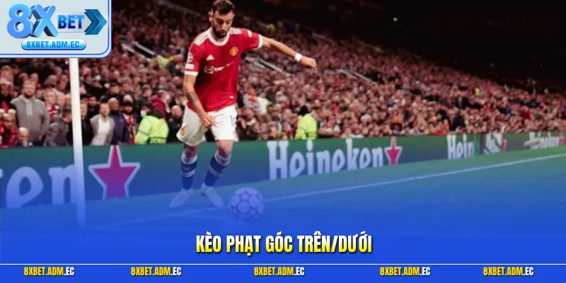 Kèo phạt góc trên/dưới