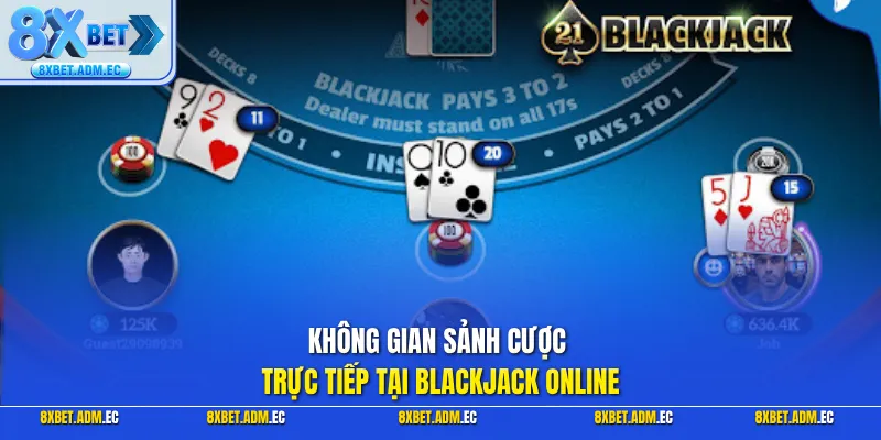 Không gian sảnh cược trực tiếp tại Blackjack Online