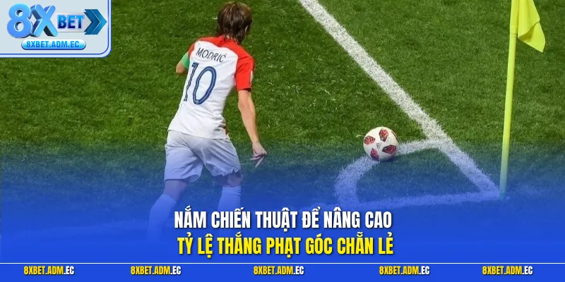Nắm chiến thuật để nâng cao tỷ lệ thắng phạt góc chẵn lẻ